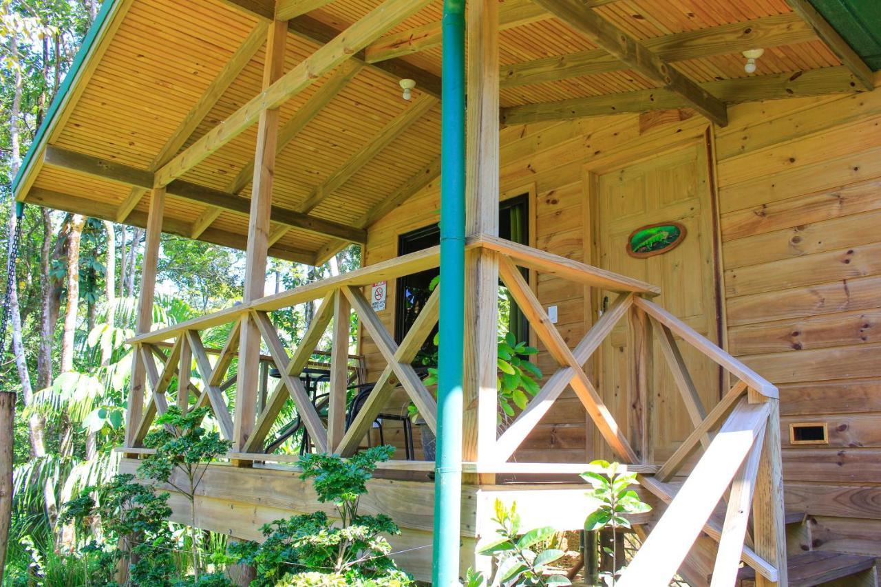 Forest Lodge Uvita Dış mekan fotoğraf