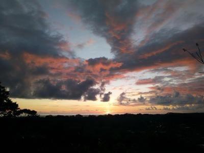 Forest Lodge Uvita Dış mekan fotoğraf