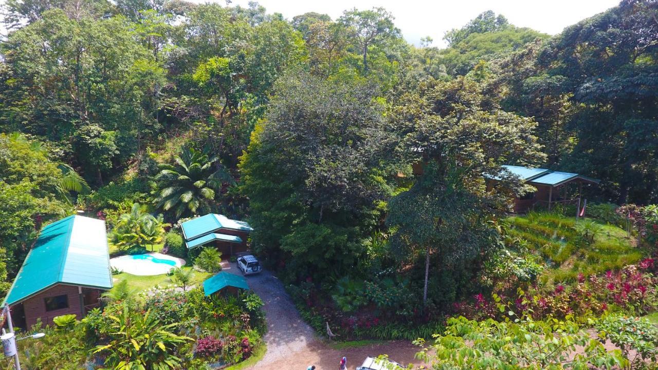 Forest Lodge Uvita Dış mekan fotoğraf