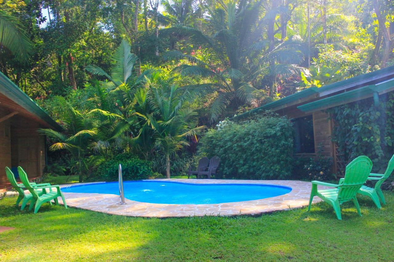 Forest Lodge Uvita Dış mekan fotoğraf